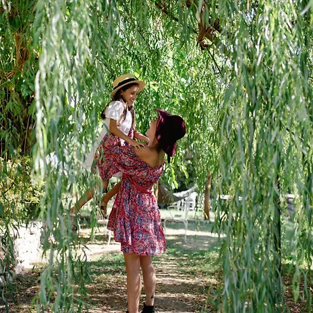 Bed and Breakfast La Cucchetta Dormelletto