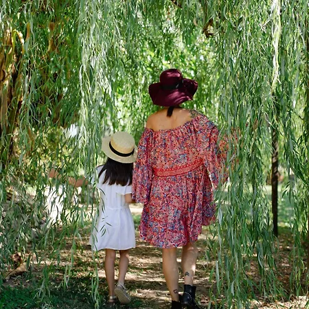 La Cucchetta Bed & Breakfast