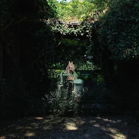 Bed and Breakfast La Cucchetta Dormelletto