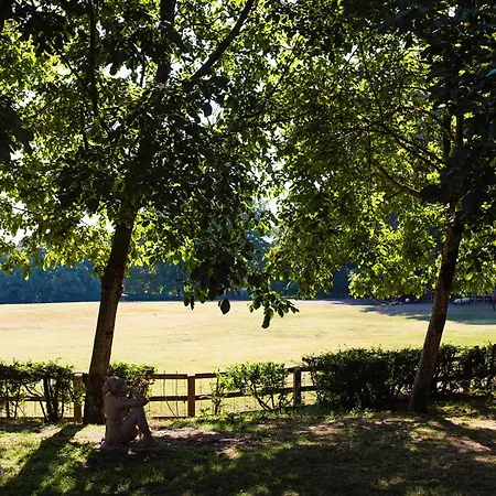 Bed & Breakfast La Cucchetta Dormelletto