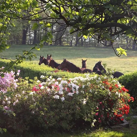 Bed & Breakfast La Cucchetta Dormelletto