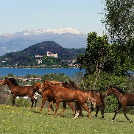 La Cucchetta 4* Dormelletto