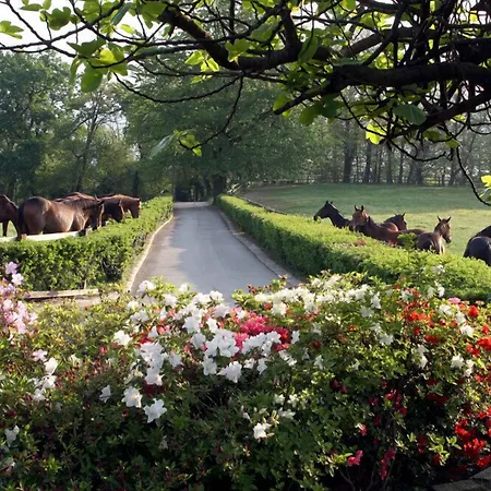 La Cucchetta Bed & Breakfast