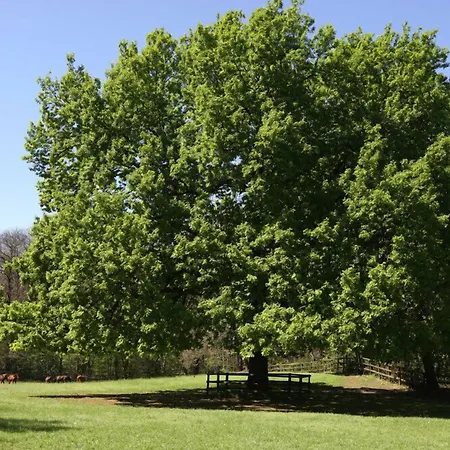 La Cucchetta Panzió