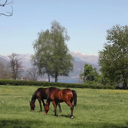 La Cucchetta Bed & Breakfast