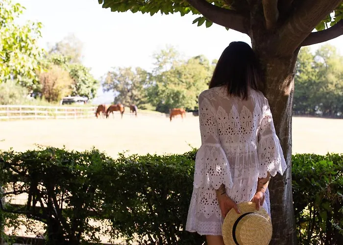 La Cucchetta Bed & Breakfast Dormelletto