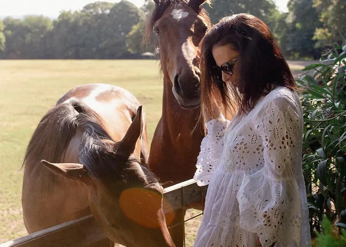 La Cucchetta Dormelletto