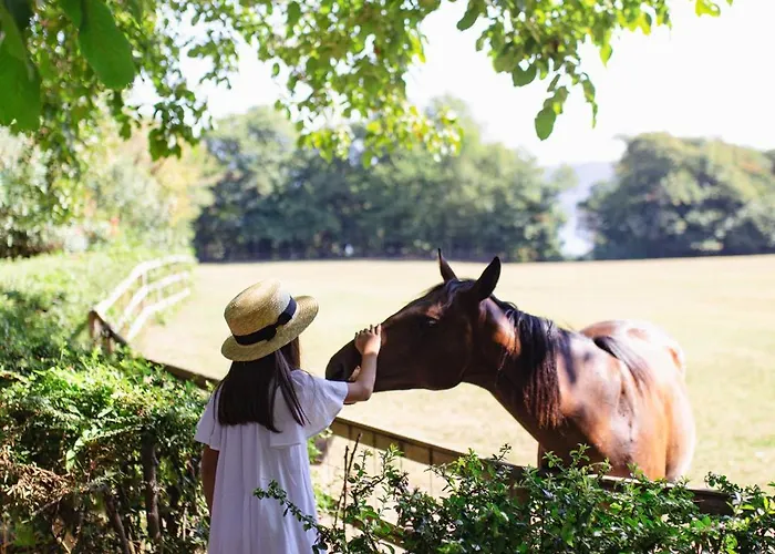 La Cucchetta Bed and Breakfast Dormelletto