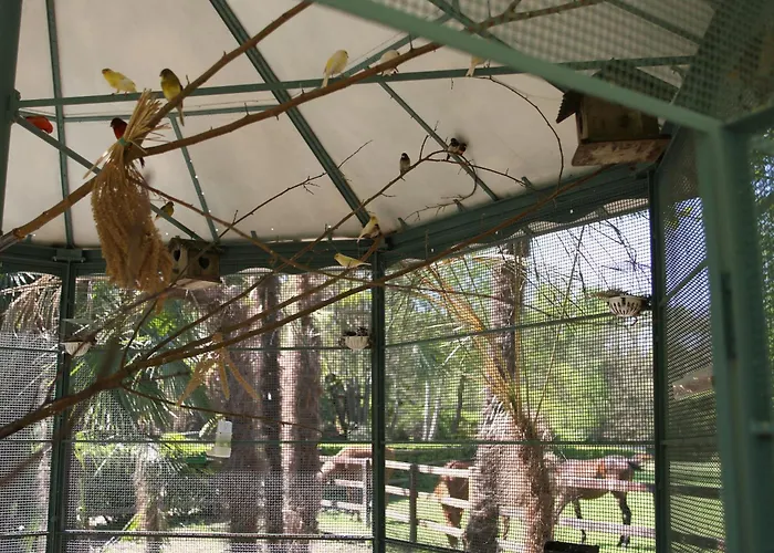 Bed & Breakfast La Cucchetta