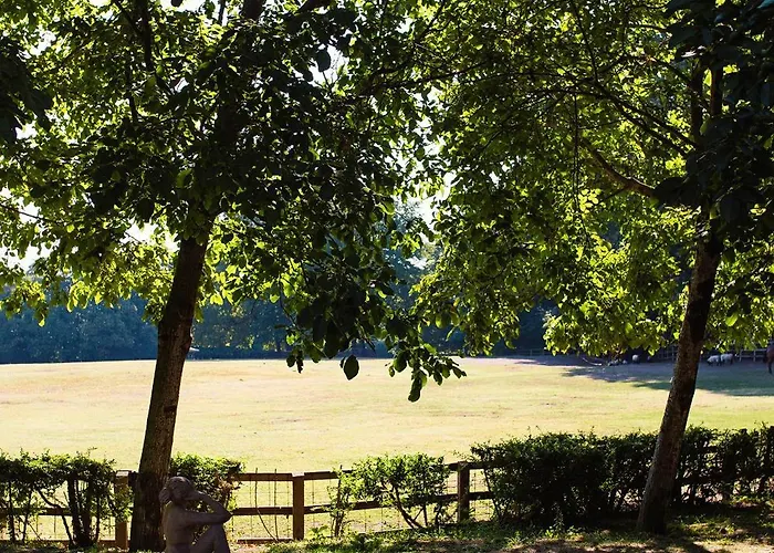 Bed and Breakfast La Cucchetta Dormelletto