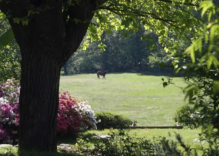 לינה וארוחת בוקר La Cucchetta