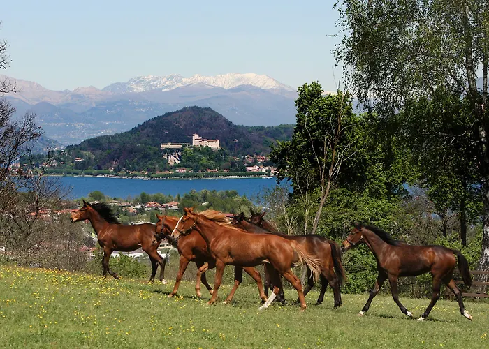 La Cucchetta 4* Dormelletto
