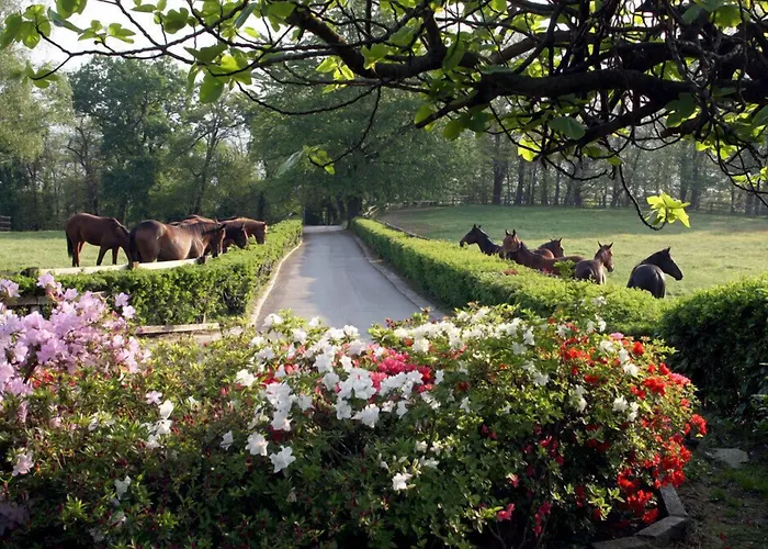 La Cucchetta Bed and Breakfast