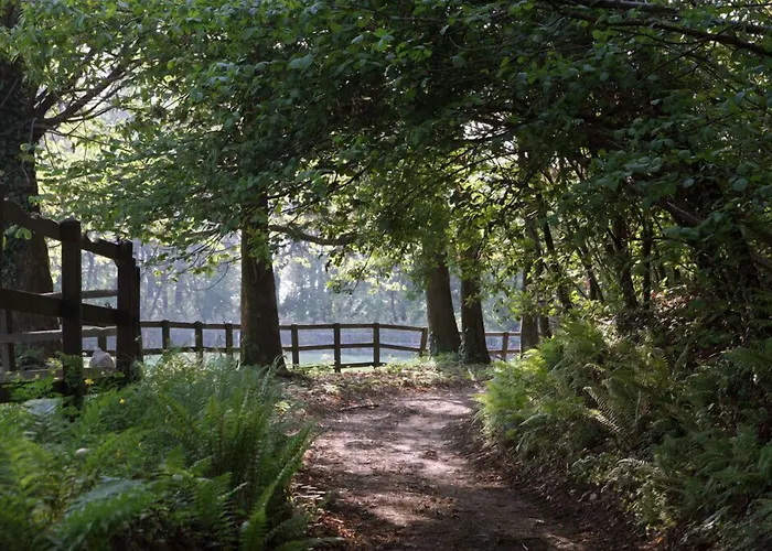 La Cucchetta Dormelletto