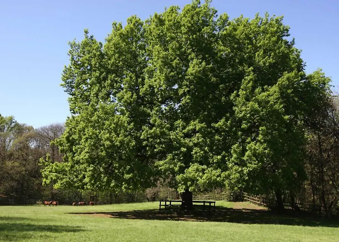 La Cucchetta Bed and Breakfast