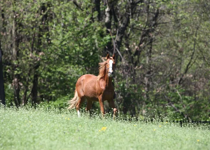 La Cucchetta דורמלטו