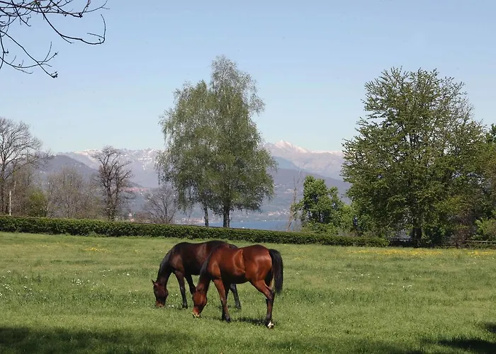 La Cucchetta Bed & Breakfast