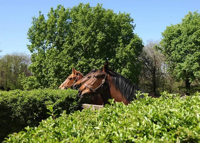 Bed & Breakfast La Cucchetta Dormelletto
