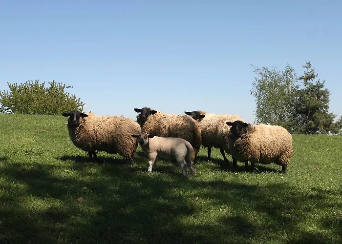 La Cucchetta Bed and Breakfast